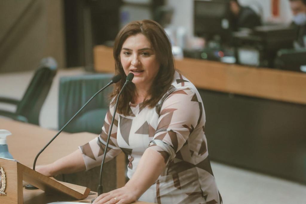 Deputada Dulci Amorim solicita audiência pública na Alepe sobre Caso Beatriz