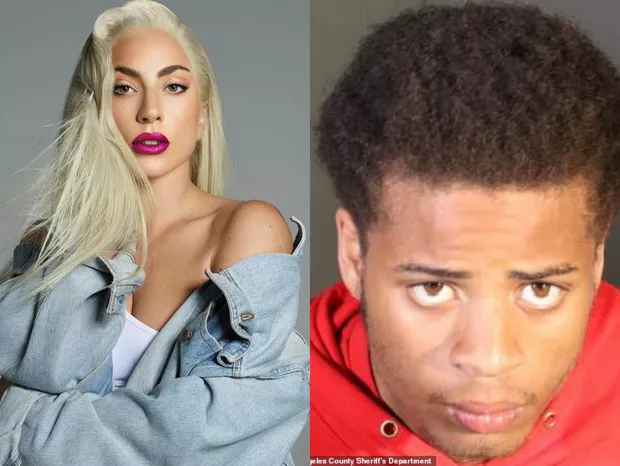 Suspeito de roubar cachorros de Lady Gaga é preso novamente após ser solto por engano
