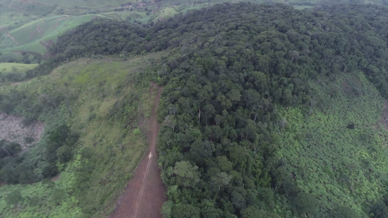 Representantes da Fazenda Jaqueira alertam para crimes ambientais em reserva