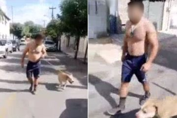 Moradores denunciam tutor de pitbull de usar cão para atacar outros animais no Ceará