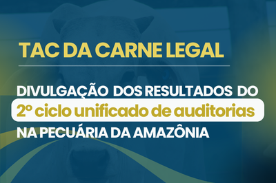 “Desvendando a Qualidade da Carne: Descubra os Segredos das Auditorias na Pecuária