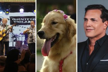 Final de semana com shows gratuitos de São João, arraial pet e mais lazer no RioMar Recife
